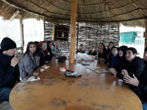 IMG-20190321-WA0013